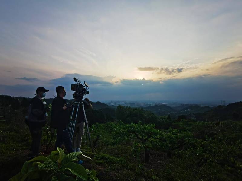 聚焦治多县产品宣传视频拍摄公司，用专业实力铸就品牌传播传奇