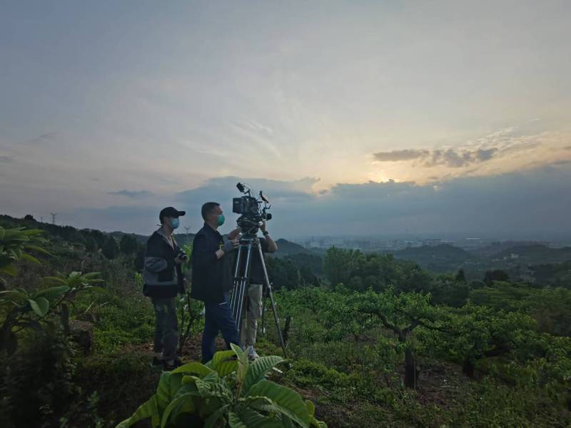 创意破圈！治多县电商产品宣传视频用故事化叙事引爆流量