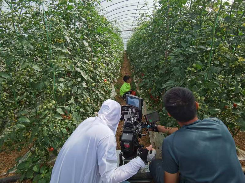 治多县产品宣传视频拍摄公司进阶指南，助力品牌抢占传播高地